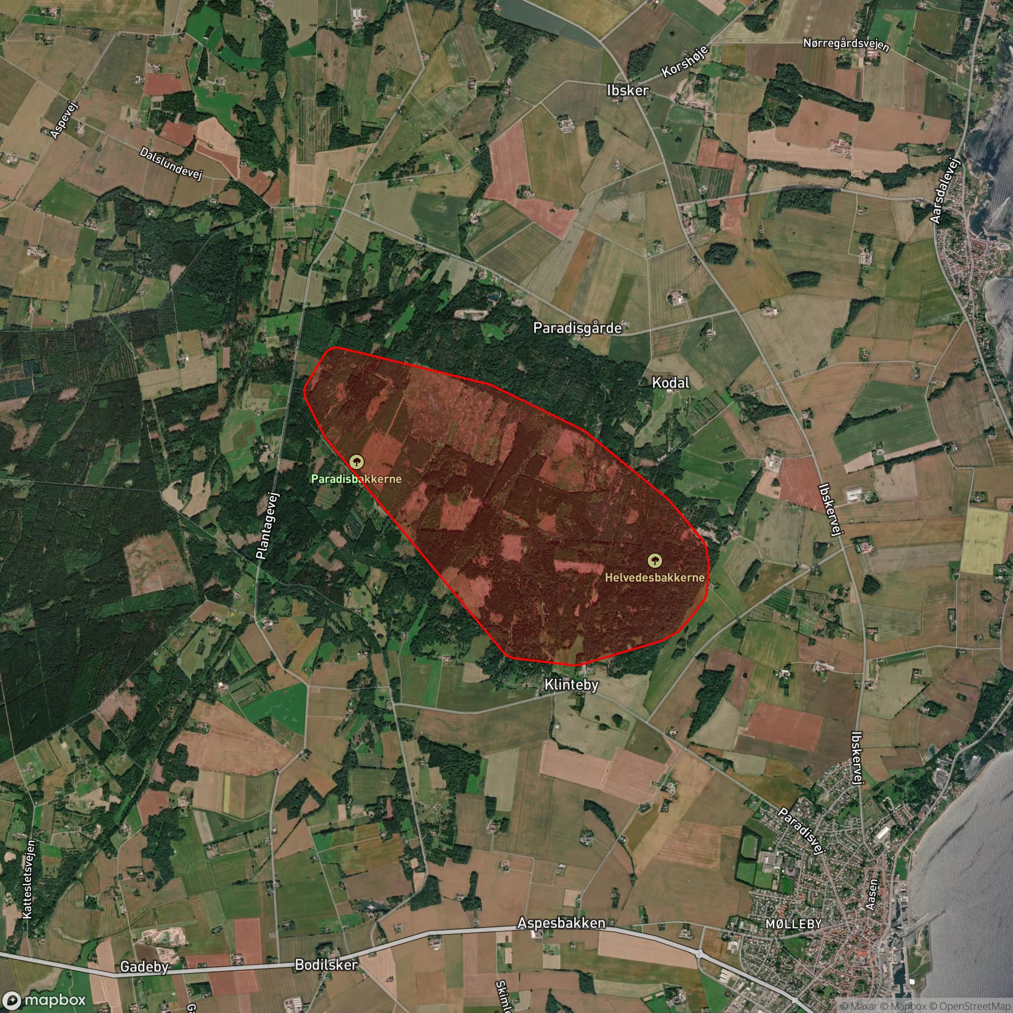 Løbsområde